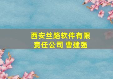 西安丝路软件有限责任公司 曹建强